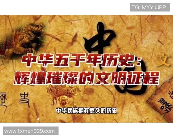 杭州乒乓球队的辉煌征程与世锦赛突破背后的故事与启示